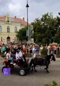 Lovaskocsi a kabai főtéren, szüreti felvonulás 2026