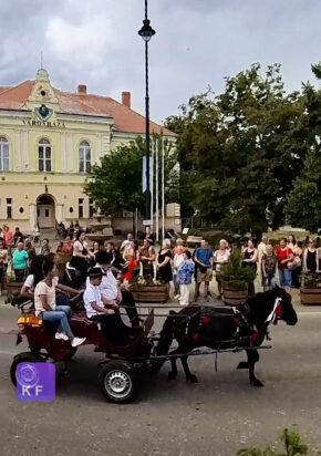 Lovaskocsi a kabai főtéren, szüreti felvonulás 2026